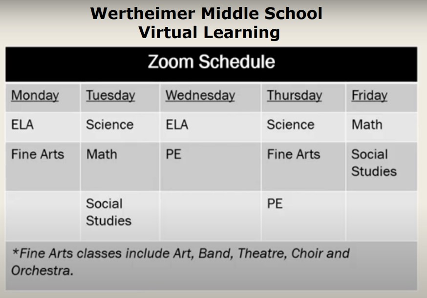 Virtual Zoom Schedule